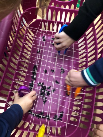 herfst spinnenweb motoriek