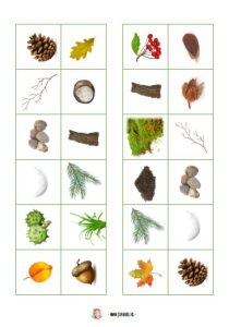 natuurspeurtocht herfst kleuters kabouterpad bos