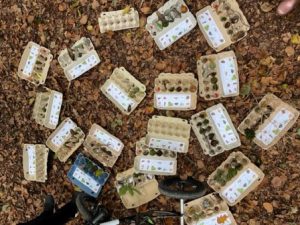 natuurschatten kleuters herfst eierdoos