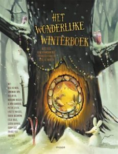 wonderlijke winterboek