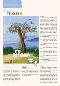 te klein lesideeen